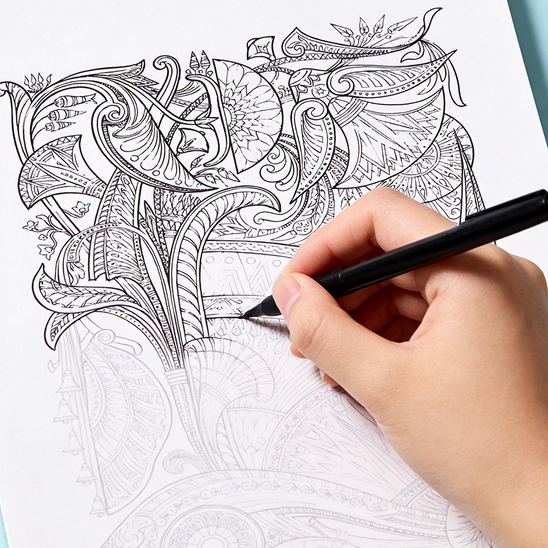 A Hand Drawn Coloring Book for - Photography Book recension och pris